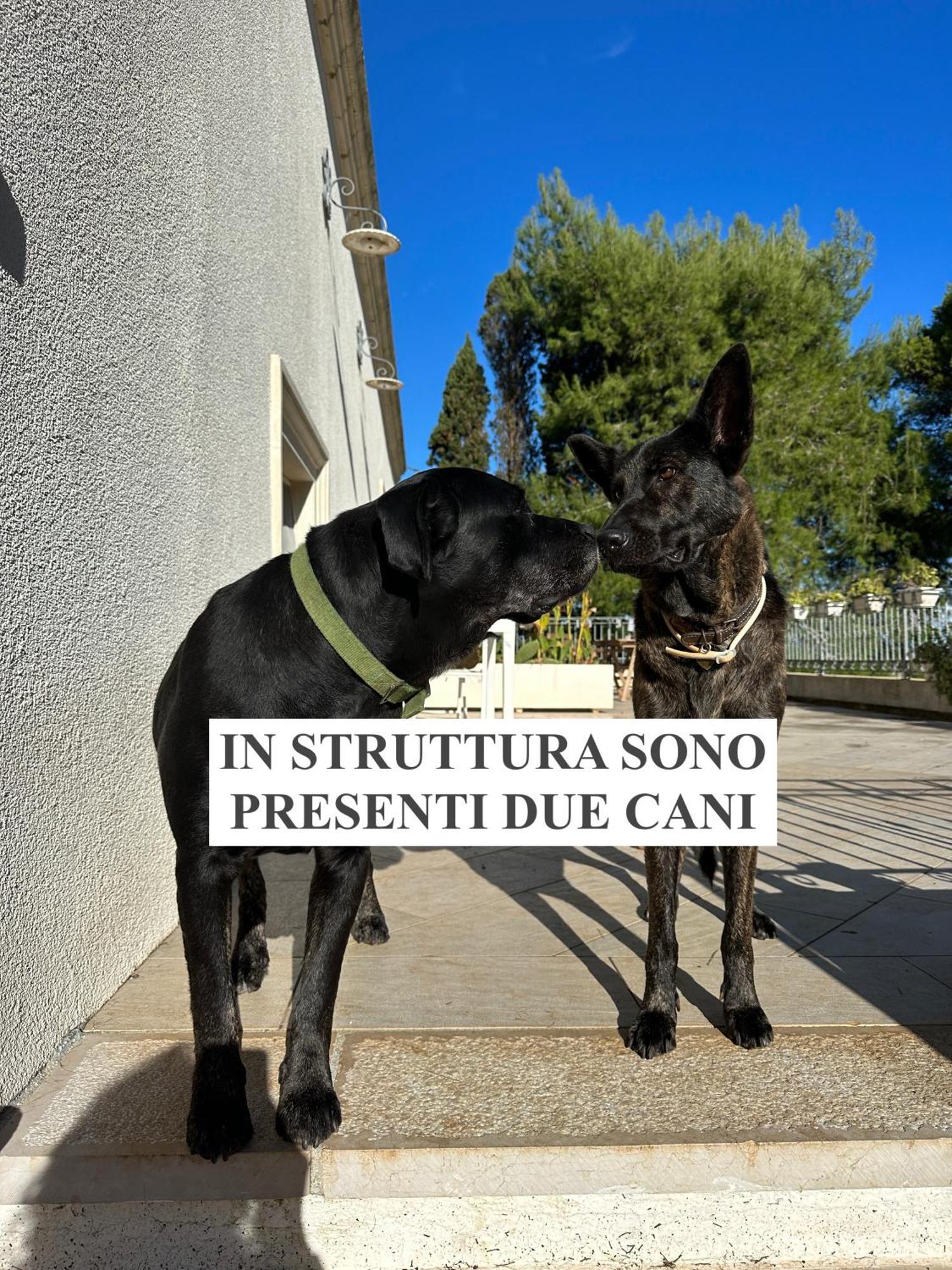 La Dimora Di Ulisse Aparthotel Santa Cesarea Terme Buitenkant foto